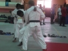 HARAI GOSHI D'Edlen sur Nicolas